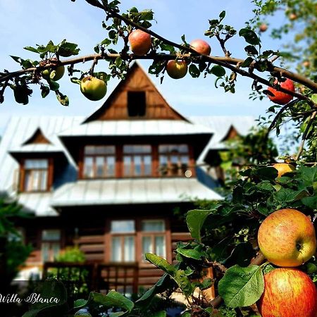 Willa Blanca Zakopane Bed & Breakfast Dış mekan fotoğraf